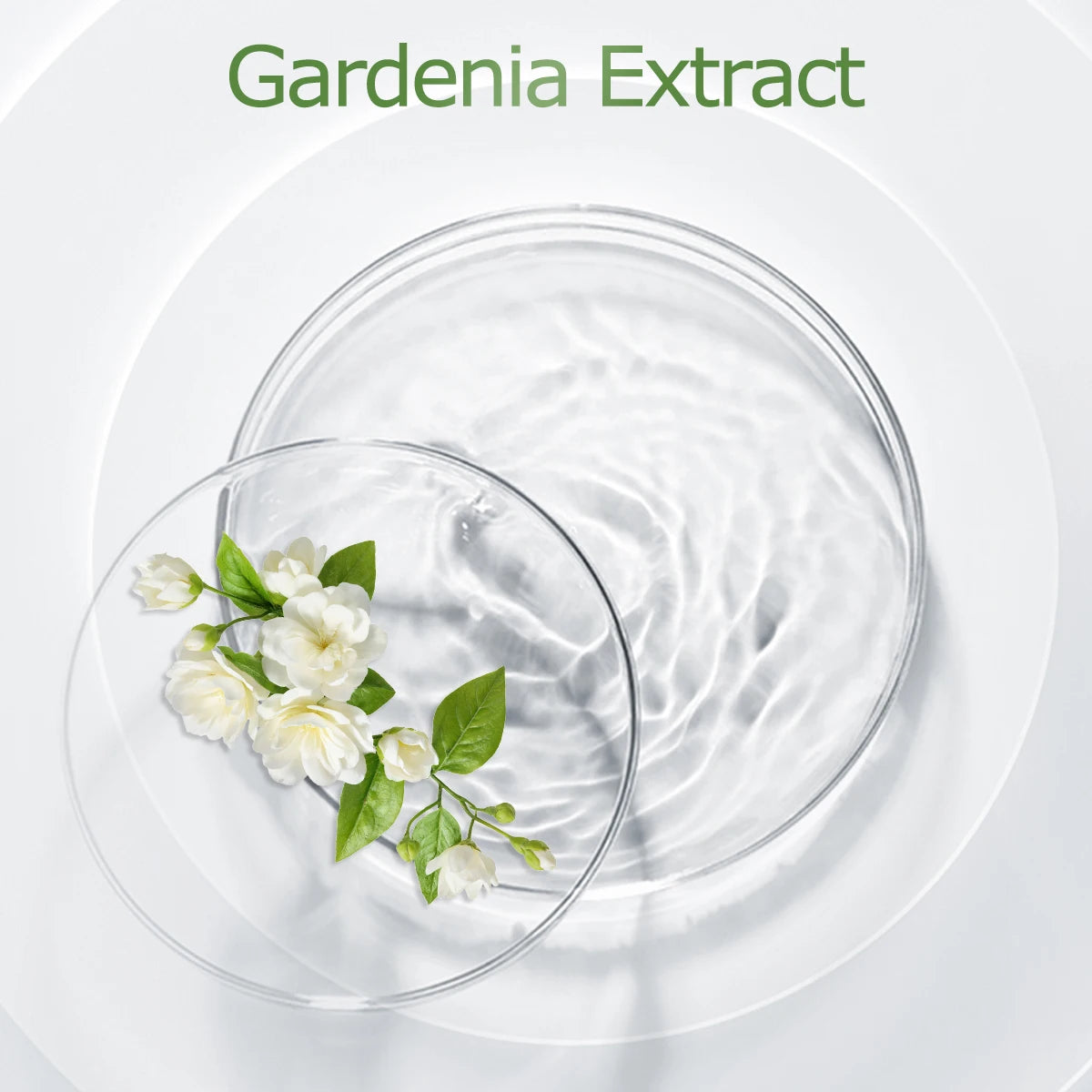 Gardenia Essential Oil For Diffusers And DIY Projects