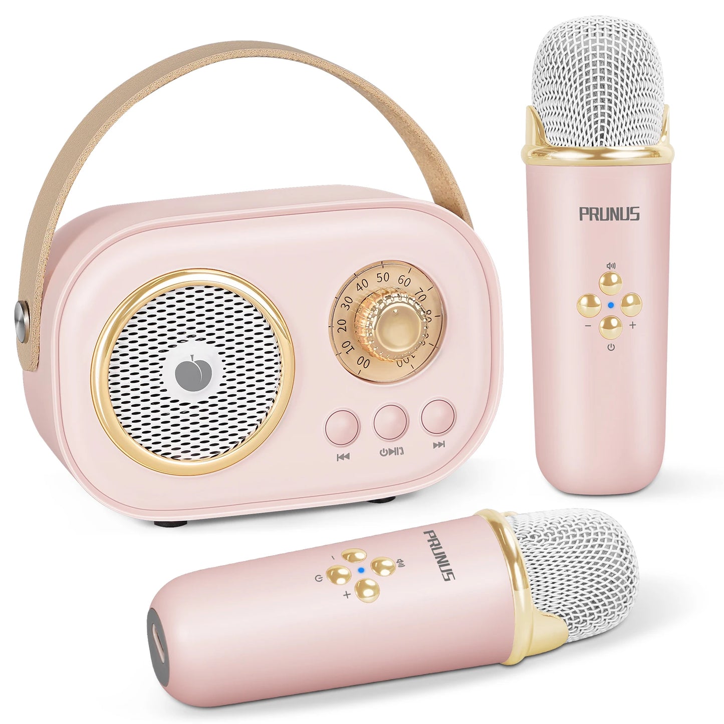 PRUNUS Mini Karaoke Machine With Bluetooth Speaker And Two Mics