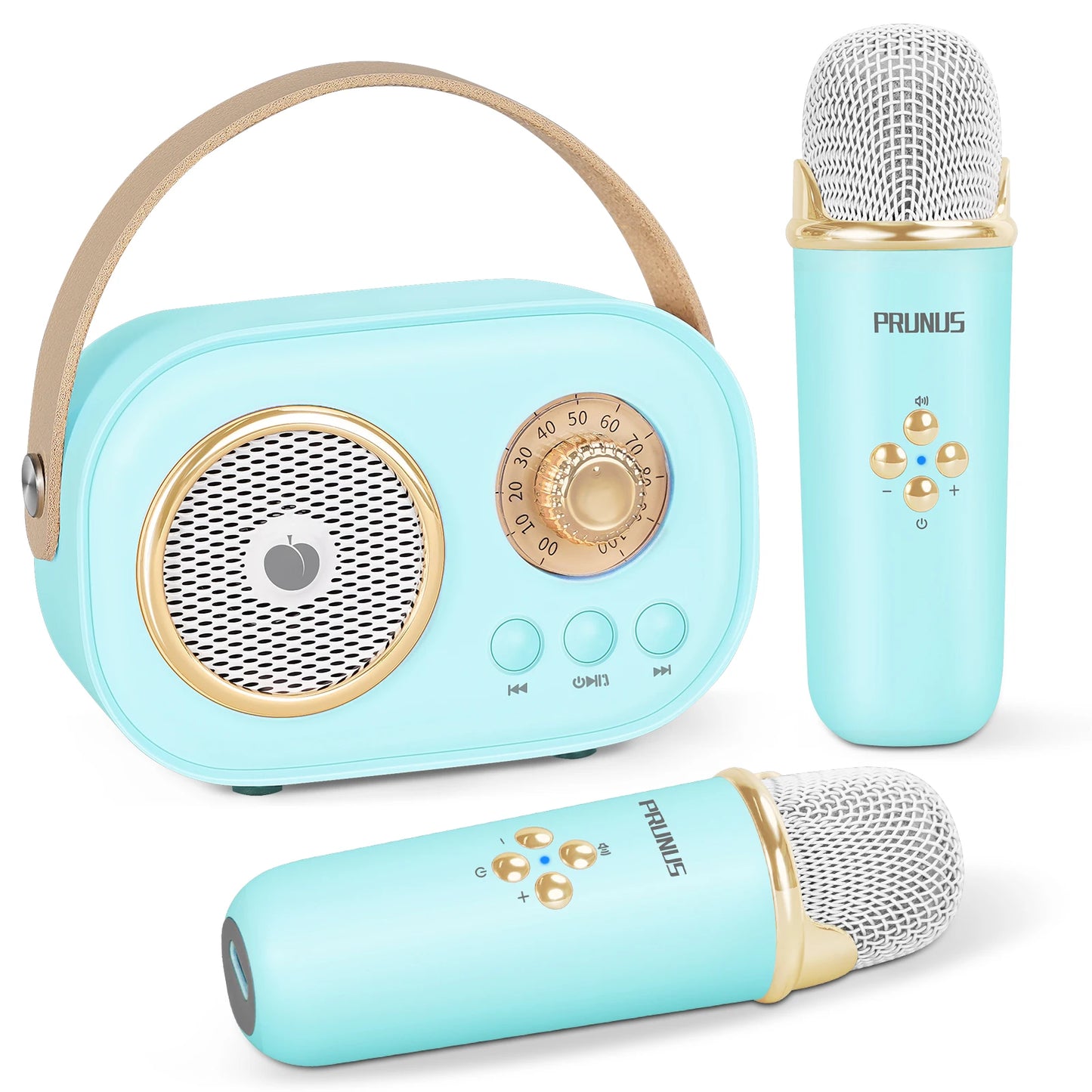 PRUNUS Mini Karaoke Machine With Bluetooth Speaker And Two Mics