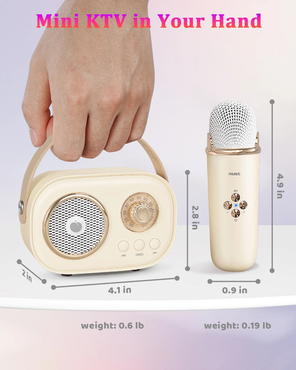 PRUNUS Mini Karaoke Machine With Bluetooth Speaker And Two Mics
