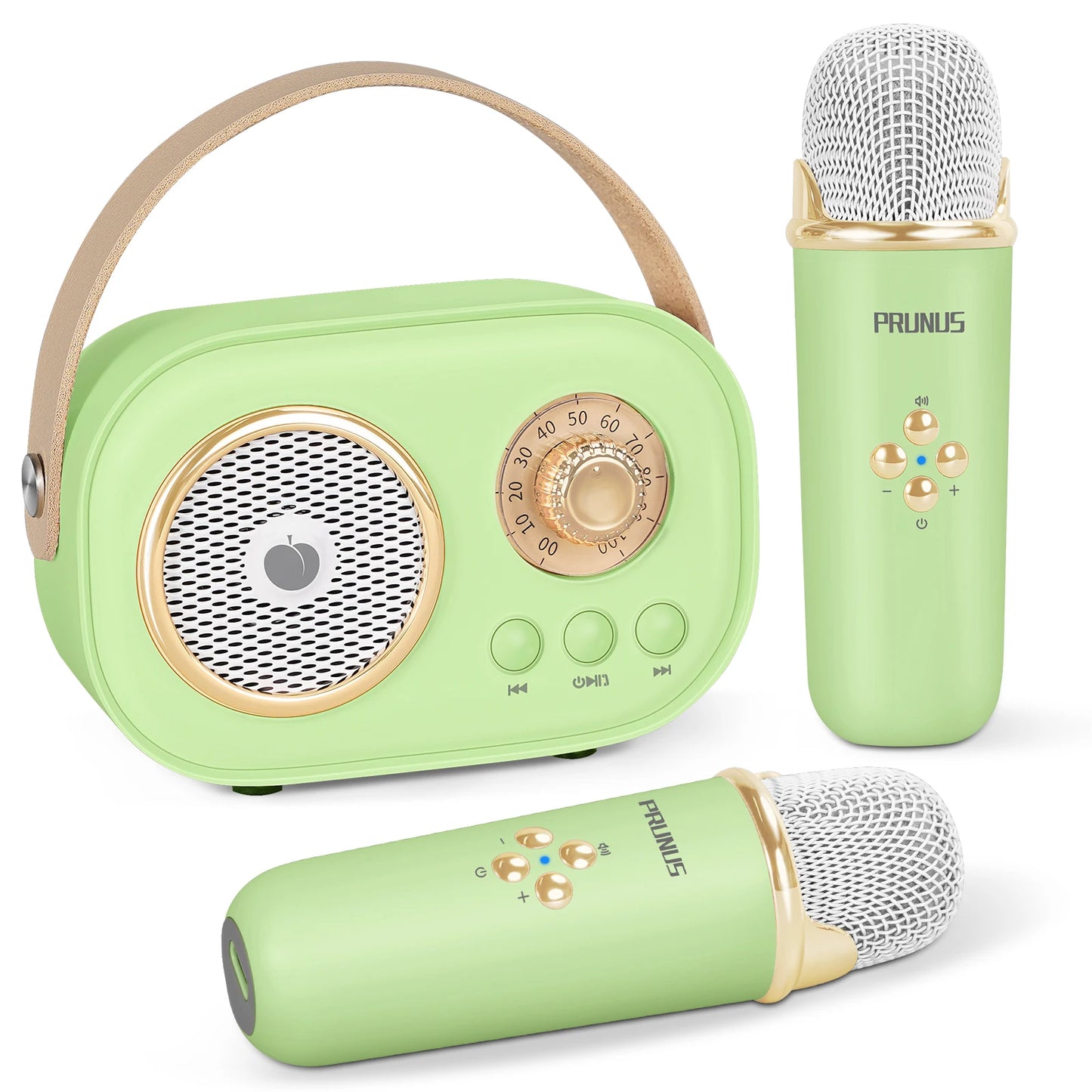 PRUNUS Mini Karaoke Machine With Bluetooth Speaker And Two Mics